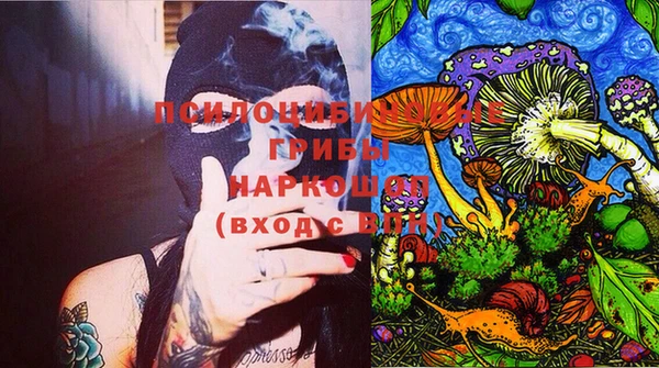 ПСИЛОЦИБИНОВЫЕ ГРИБЫ Алексин