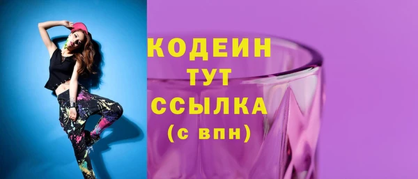 МДПВ Пересвет
