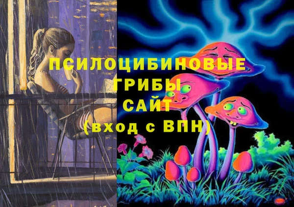 ПСИЛОЦИБИНОВЫЕ ГРИБЫ Алексин