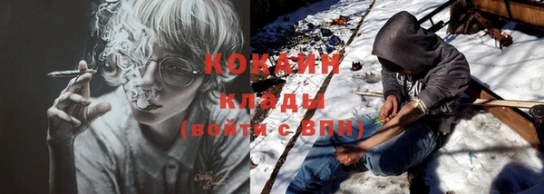 ПСИЛОЦИБИНОВЫЕ ГРИБЫ Алексин