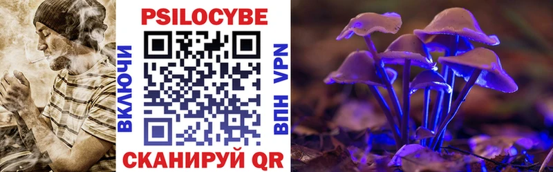 цена   Нарткала  Галлюциногенные грибы Psilocybe 