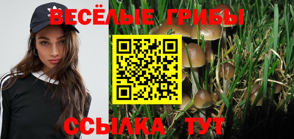 Псилоцибиновые грибы прущие грибы  Псилоцибиновые грибы ЛСД  Вход с VPN  Нарткала 